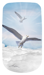 DAROYAL-101-BL Journey Home Clouds Birds Blue